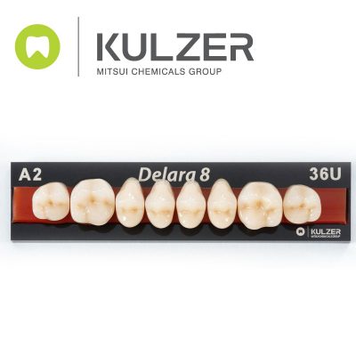 Kulzer - Delara Posteriors