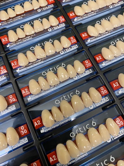 Kulzer - Artic Posteriors - Image 3