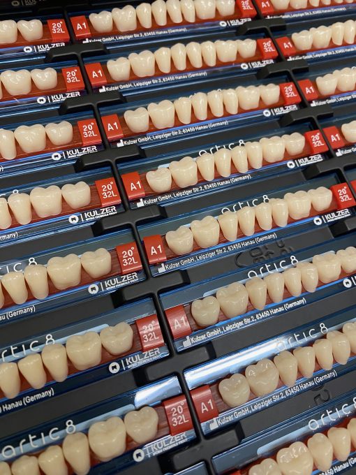 Kulzer - Artic Posteriors - Image 4