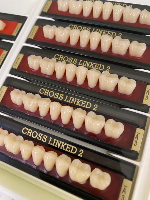 PoliDent - Cross Linked 2 Posteriors - Image 2