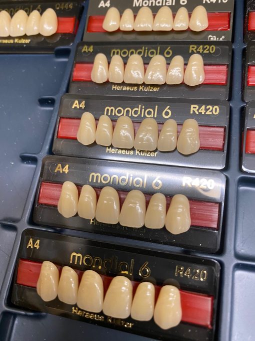 Kulzer - Pala Mondial Anteriors - Image 3