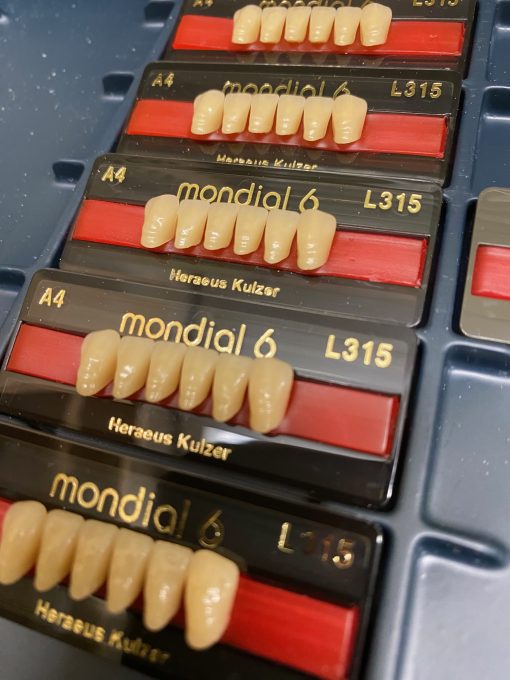 Kulzer - Pala Mondial Anteriors - Image 2