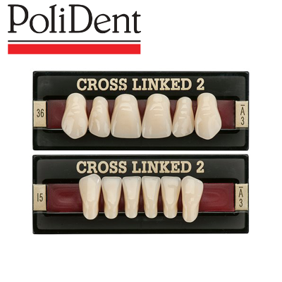 PoliDent - Cross Linked 2 Anteriors